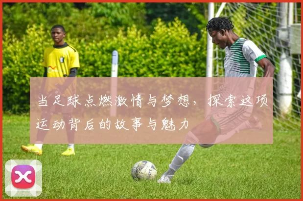 当足球点燃激情与梦想，探索这项运动背后的故事与魅力