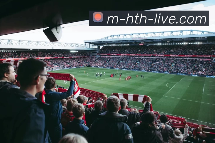 多媒体互动体验